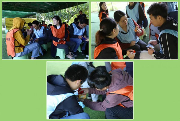 永盈会新能源_厚积薄发_赢胜2021(图16)